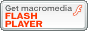 adobe_get_flash_player.gif (1629 bytes)
